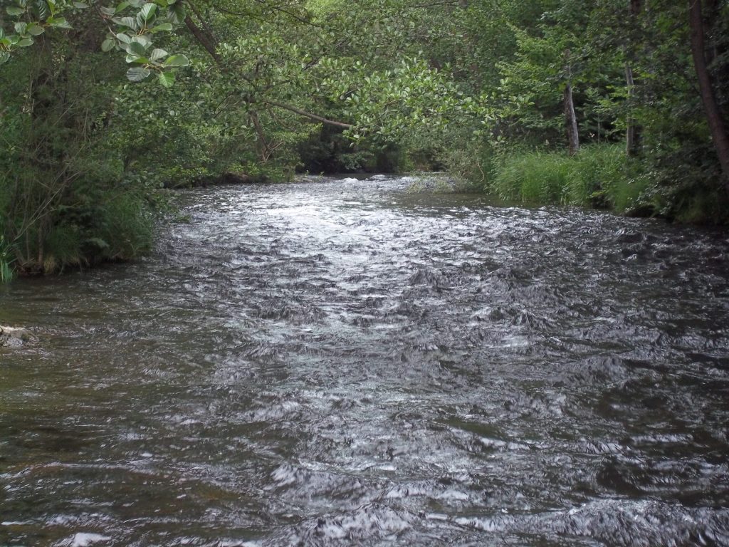 Journée nettoyage du chassezac : 29 mars 2025